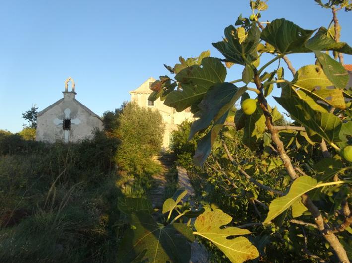 Villa D House Authentic Zlarin House, Relaxing Courtyard And Terrace Extérieur photo